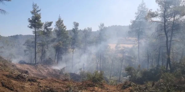 incendiu Grecia Foto IGSU