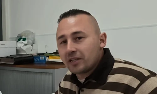 gigi cristea png