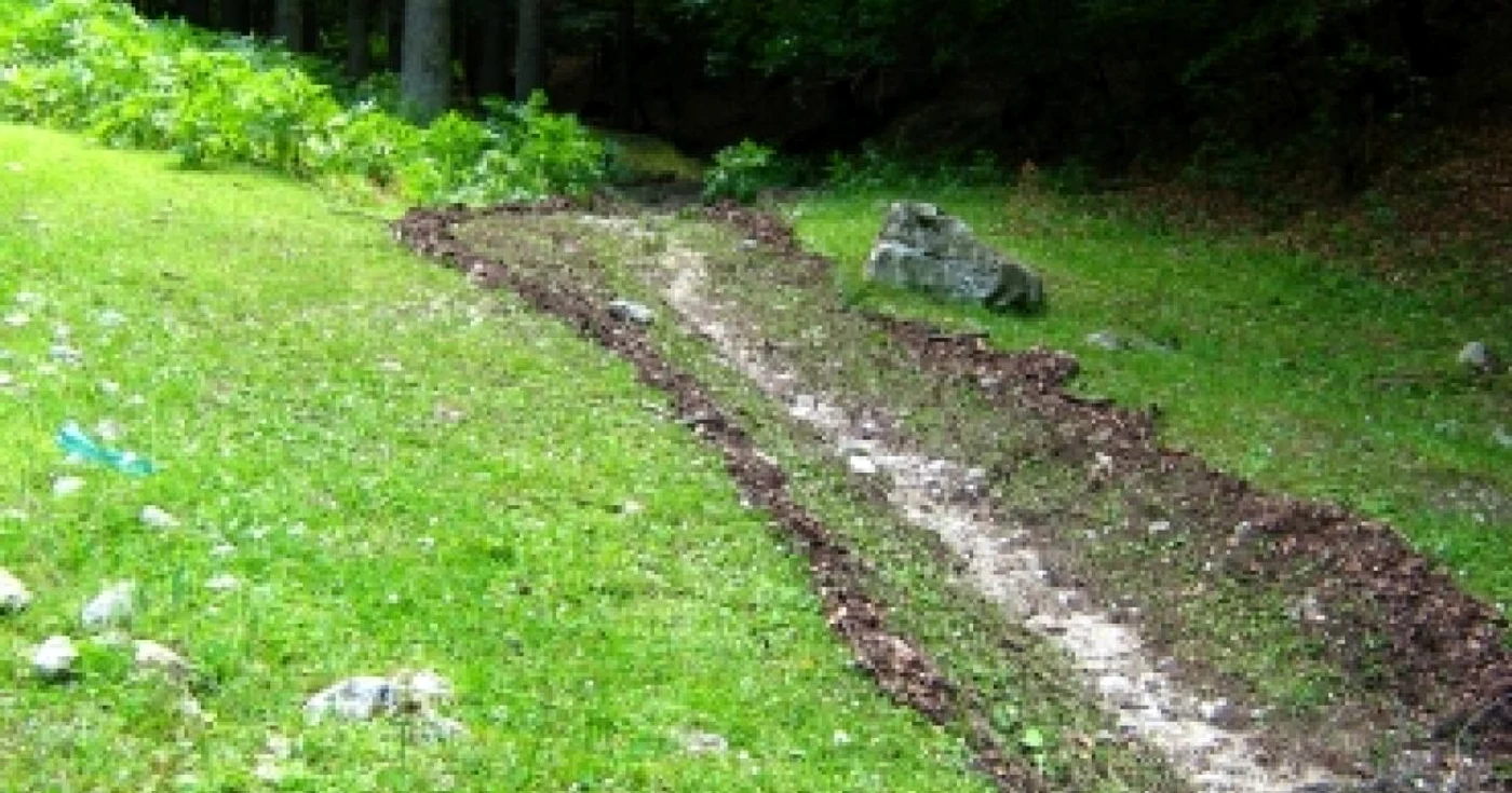 Suceava: Atenţionare de cod galben pentru astăzi și mâine