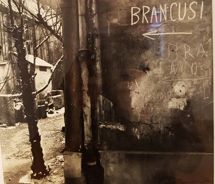 Vitebsk şi geniul locului jpeg