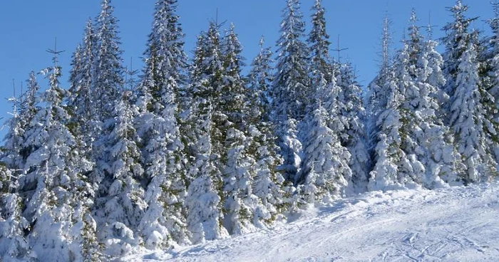 Pârtiile de schi, cele mai cautate destinaţii de vacanţă