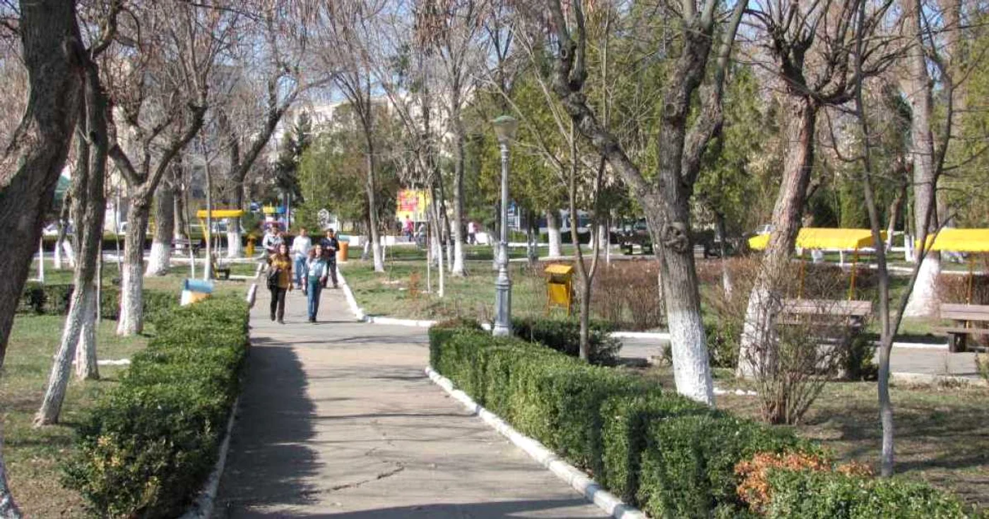 De Mărţişor, vremea va fi mai caldă decât normalul perioadei