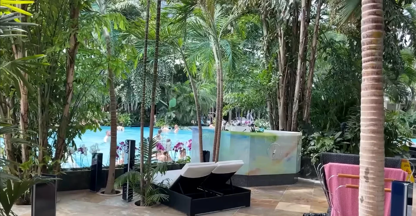 Imagine cu una dintre piscinele din Therme București, înconjurată de vegetație luxuriantă Sursă DS