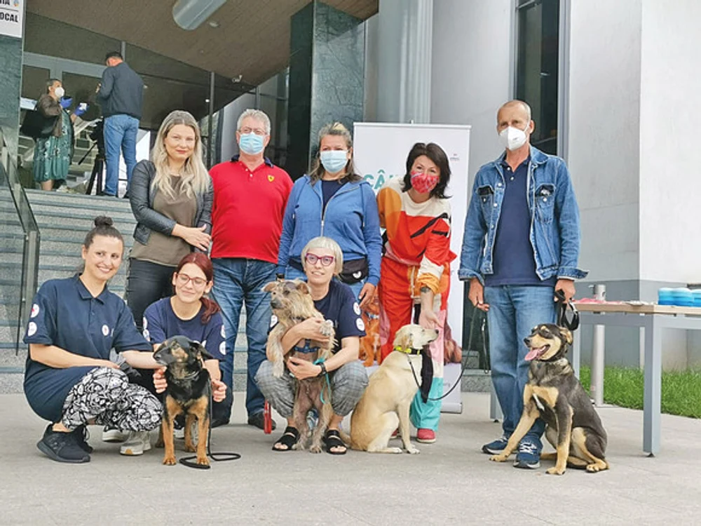 Doamnele de la Primăria Galaţi au avut parte de o vizită-surprizăFoto: adevarul.ro