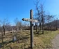 Satul Runcșor din Hunedoara Foto Daniel Guță ADEVĂRUL (12) jpg