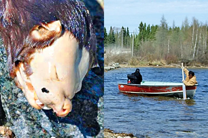 
    Fotografiile au fost  analizate de oamenii  de ştiinţă care cred că este vorba de o  mutaţie genetică  