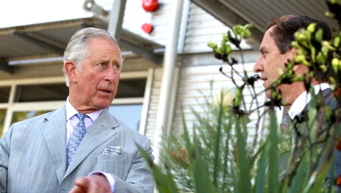 Toată munca Prințului Charles a fost distrusă de furtuniFoto: Getty