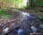 Valea Mică, spre Rapa cu Galbeni Foto Daniel Guță (4) jpg