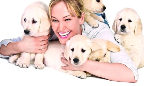 1 47346 original jpg jpeg