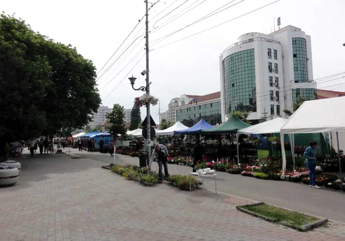 Oficialităţile locale din Slatina nu vor mai organiza "Expo-Flora" blocând cea mai circulată arteră din oraş (FOTO: Mugurel Manea)