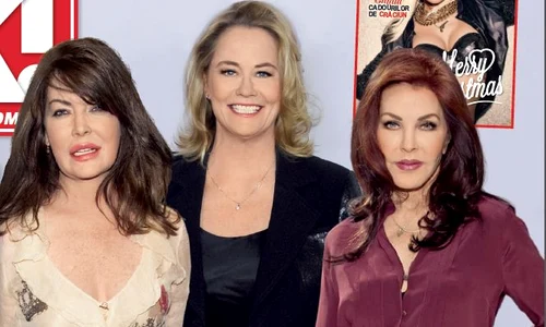 dive de altadata jpeg