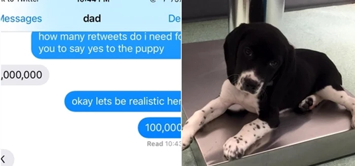 Un pariu între tată și fiică s-a transformat într-o competiție pe Twitter