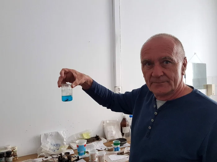 Dan Ionescu