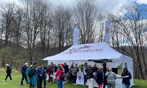 Aproape 2500 de vizitatori, la Sarmizegetusa Regia în minivacanța de 1 mai (foto: Facebook / Administrația Sarmizegetusa Regia)