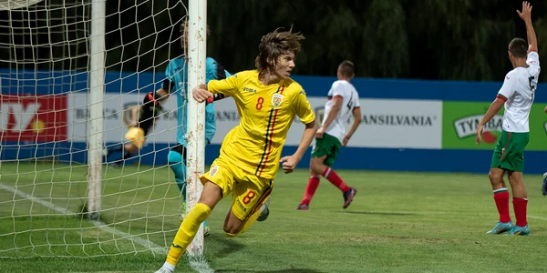 Alexandru Stoian frf ro jpg