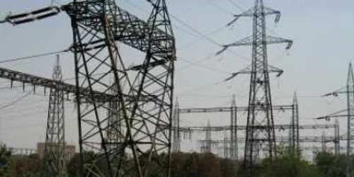 Transelectrica îşi reduce cheltuielile cu până la 44%, pe fondul crizei