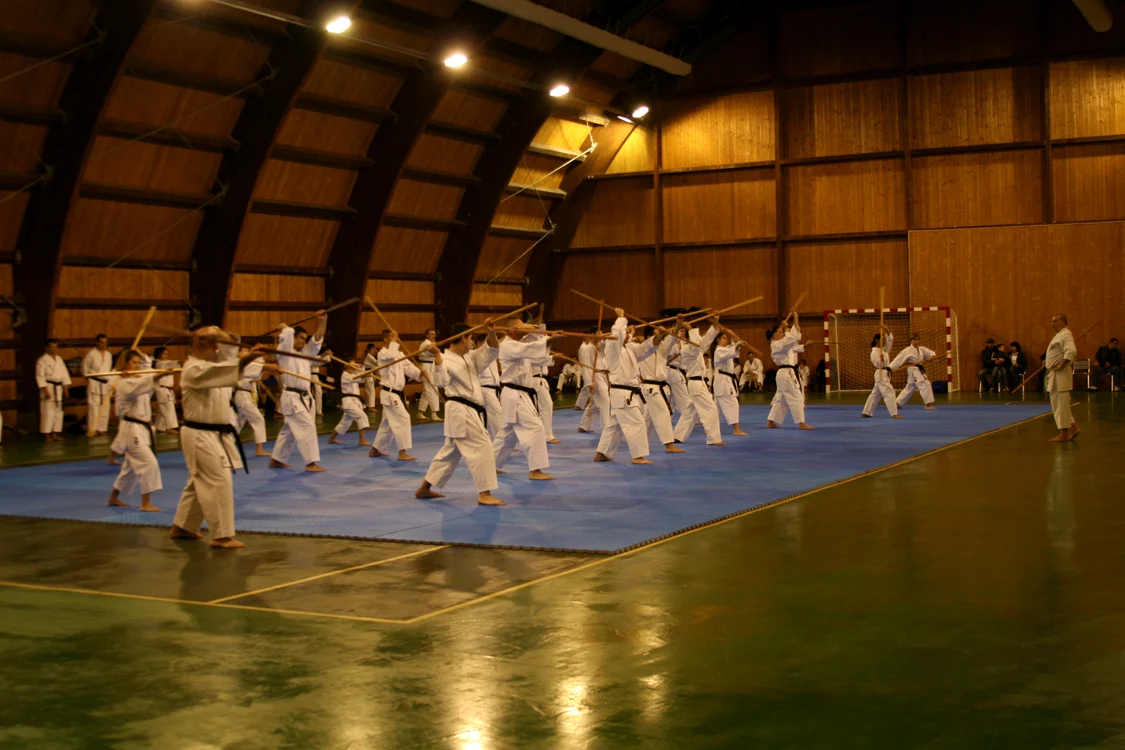 arte martiale 1
