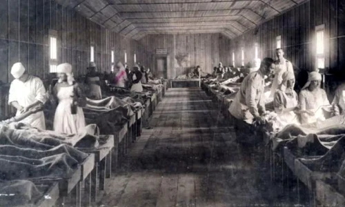 Cronicar prin memoriile Marelui Război  Romanele războiului: Balaurul jpeg