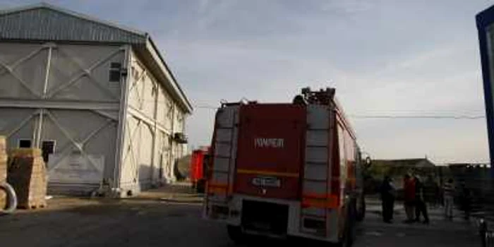 Incendiul a pus in pericol productia de lapte din Timis