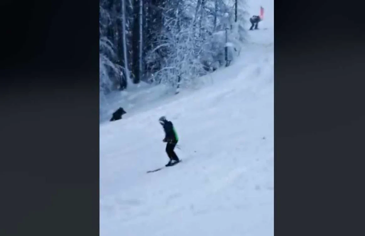 Jandarmeria spune că turiştii nu au fost în pericol.