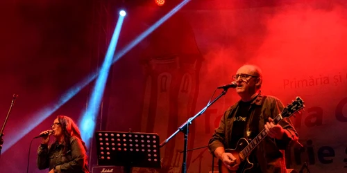 palfi chitara cugir