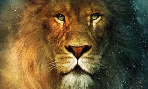 1 76425 original jpg jpeg