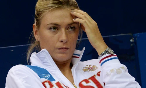 Tennis  Fed Cup  Russia vs  Netherlands  Day Two jpeg