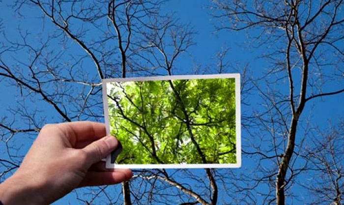 
    Optimismul protejează sănătateafoto: despresucces.ro  