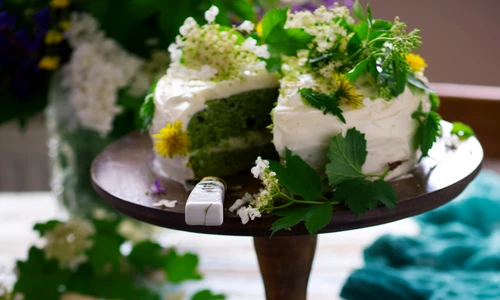 1 shutterstock 1094820983 jpg jpeg