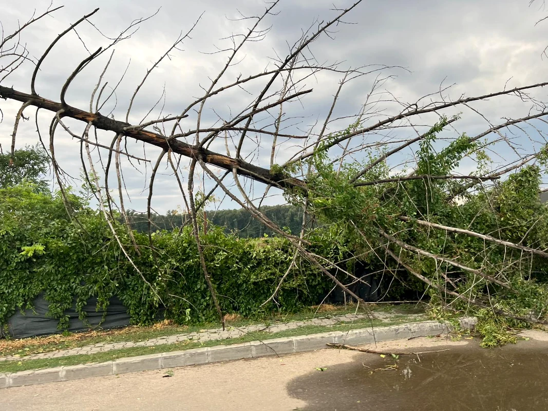 Furtuna agresivă a afectat mai multe zone din București / FOTO: Click!
