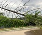 Furtuna agresivă a afectat mai multe zone din București / FOTO: Click!