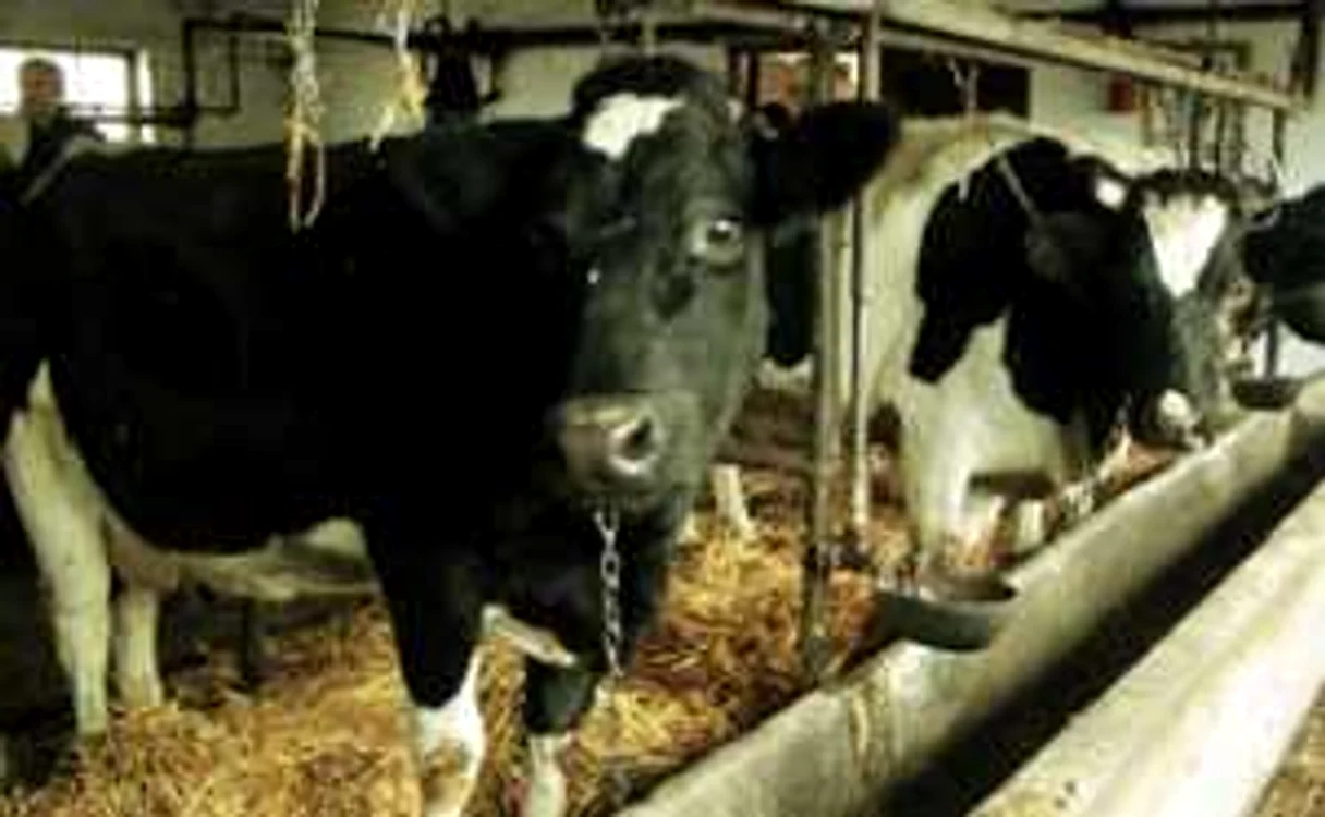 Crescătorii de animale trebuie să aibă calificarea necesară