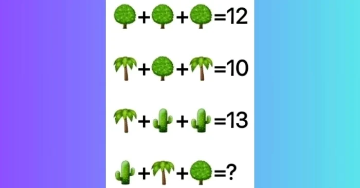Rezolva ecuația în mai puțin de 11 secunde / foto: Pinterest 