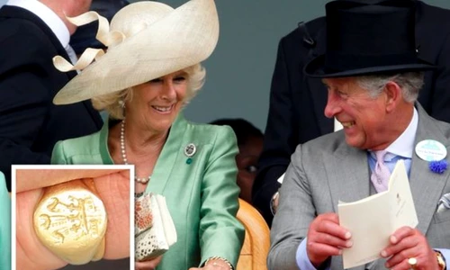 Ce semnificație are inelul pe care regele Charles îl poartă, foto pinterest jpeg