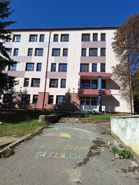 Singurul liceu cu predare în limba română din localitatea Sfântul Gheorghe există doar pe hârtie. Director: „În realitate, elevii noștri învață împrăștiați prin tot orașul”