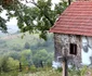 locul nasterii lui arsenie boca foto adevarul