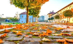 vreme de toamna calduroasa in Cetatea Alba Iulia frunze cazute jpg webp