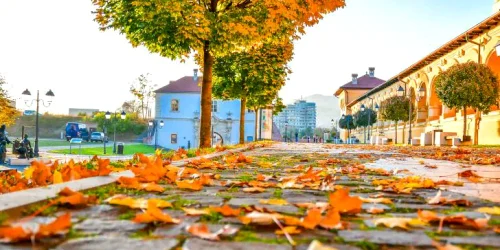 vreme de toamna calduroasa in Cetatea Alba Iulia frunze cazute jpg webp