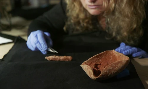 Descoperire rară în Israel (© Facebook / Israel Antiquities Authority)