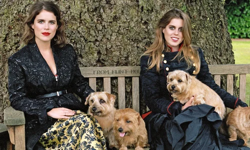 1 uk vogue pr free princess 1 high res print jpg jpeg