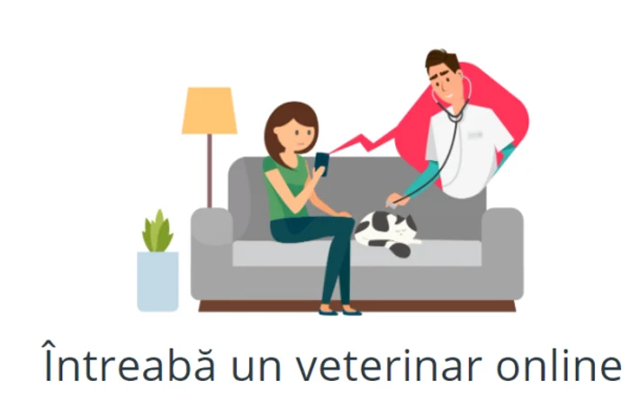 VetChat