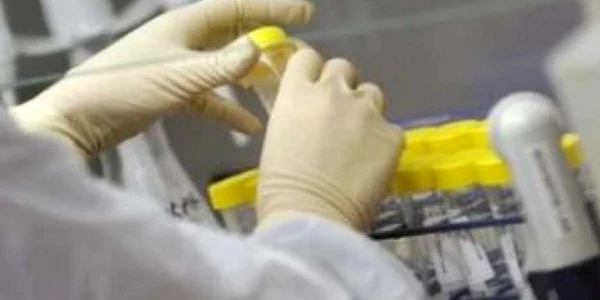 Gripa porcină în România: 5 cazuri confirmate şi un nou suspect - Update
