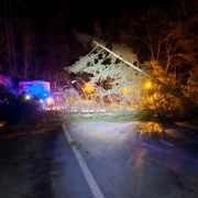 Copaci doborâți în Sinaia FOTO Facebook / Primaria Sinaia