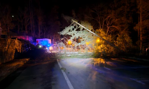 Copaci doborâți în Sinaia FOTO Facebook / Primaria Sinaia