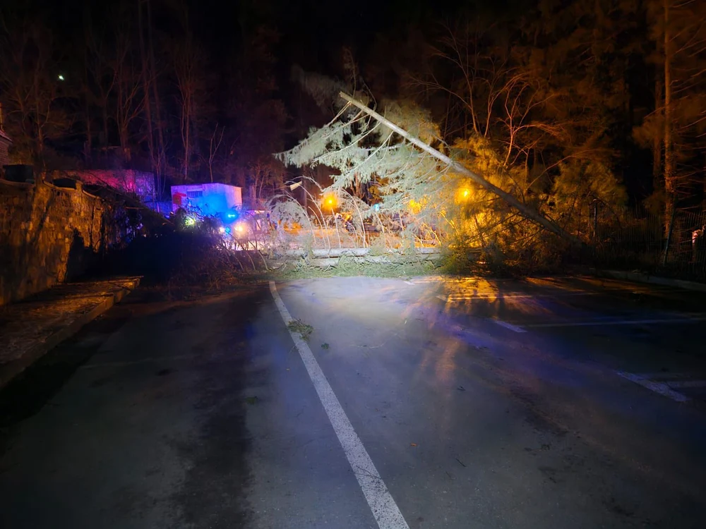 Vântul puternic a doborât mai mulți arbori și stâlpi în Sinaia. Cod portocaliu valabil până luni