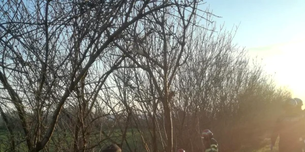 slobozia accident pe dn2 foto isu ialomita