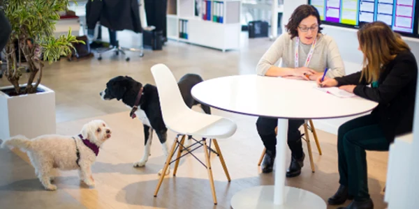 thumbnail Mars pet friendly office png