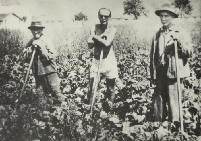 Deportări în Bărăgan FOTO Biblioteca Centrală Universitară Timişoara