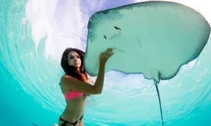 caters model stingray 09 0 jpeg