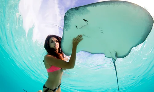caters model stingray 09 0 jpeg